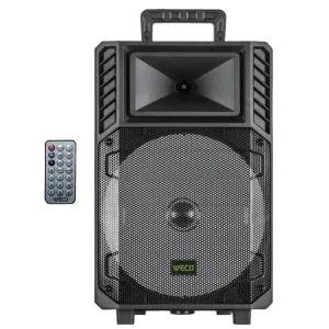 اسپیکر ویکو WeS-100