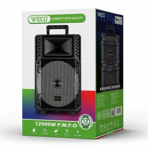 اسپیکر ویکو WeS-100 Singel 12 inch